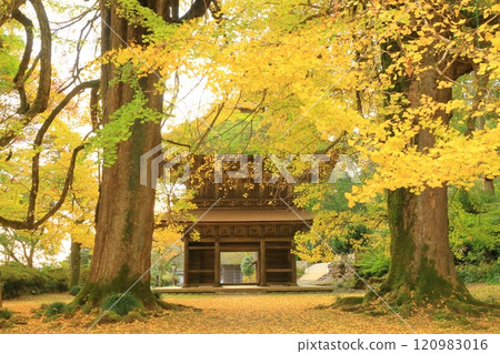 Kotokuji Temple, Akiruno City, Tokyo Kotokuji Temple, Akiruno City, Tokyo 120983016