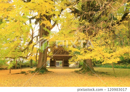 Kotokuji Temple, Akiruno City, Tokyo 120983017