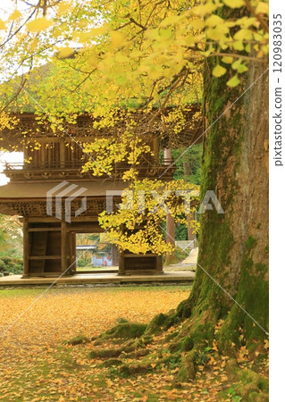 東京都秋留野市高德寺 120983035