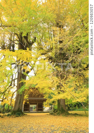 東京都秋留野市高德寺 120983057