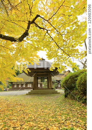 Kotokuji Temple, Akiruno City, Tokyo Kotokuji Temple, Akiruno City, Tokyo 120983096