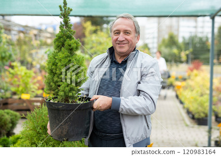 Cheerful elderly man in casual clothes holding pot with Cupressus Goldcrest Wilma during shopping in bazaar 120983164