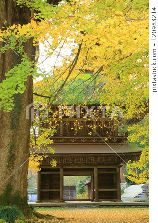 Kotokuji Temple, Akiruno City, Tokyo 120983214