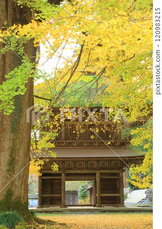 Kotokuji Temple, Akiruno City, Tokyo 120983215