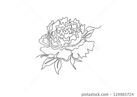 Single continuous line drawing beauty fresh herbaceous plant for home wall decor art poster print. Printable decorative peony flower for card ornament. One line draw graphic design vector illustration 120983724