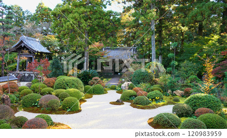 井伊家寺廟龍潭寺 120983959