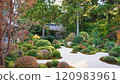 井伊家寺龍潭寺庭院 120983961