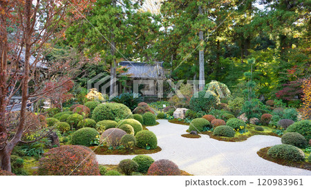 The courtyard of Ryutanji Temple, the Ii family temple The courtyard of Ryutanji Temple, the Ii family temple 120983961