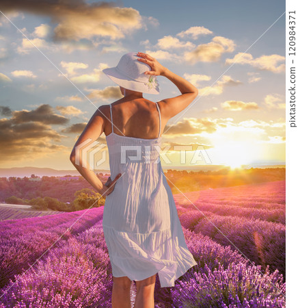 Woman holding hat in lavender fields in Provence, France Woman holding hat in lavender fields in Provence, France 120984371