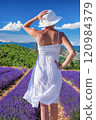 Woman holding hat in lavender fields in Provence, France 120984379