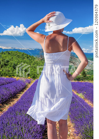 Woman holding hat in lavender fields in Provence, France 120984379