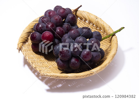 Pione Pione 120984382