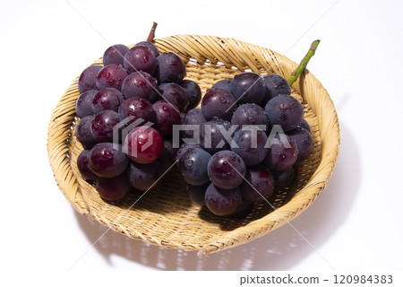 Pione Pione 120984383