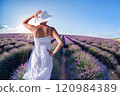 Woman holding hat in lavender fields in Provence, France 120984389