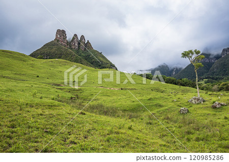 Explore the scenic beauty of Soldados Sebold, tropical destination in Santa Catarina, Brazil. Perfect for a family trip or adventure, enjoy green hills, foggy peaks, rainforest views, relaxing pasture 120985286