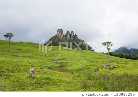 Explore the scenic beauty of Soldados Sebold, tropical destination in Santa Catarina, Brazil. Perfect for a family trip or adventure, enjoy green hills, foggy peaks, rainforest views, relaxing pasture 120985296