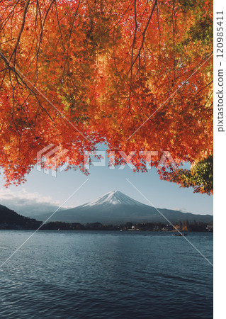 Autumn foliage and Mt. Fuji seen from Lake Kawaguchi, one of the Fuji Five Lakes in Kawaguchiko Town, Yamanashi Prefecture, Autumn foliage and Mt. Fuji seen from Lake Kawaguchi, one of the Fuji Five Lakes in Kawaguchiko Town, Yamanashi Prefecture, 120985411