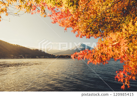 Autumn foliage and Mt. Fuji seen from Lake Kawaguchi, one of the Fuji Five Lakes in Kawaguchiko Town, Yamanashi Prefecture, Autumn foliage and Mt. Fuji seen from Lake Kawaguchi, one of the Fuji Five Lakes in Kawaguchiko Town, Yamanashi Prefecture, 120985415