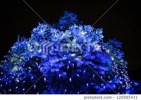 LED 燈泡點亮聖誕裝飾品 120985431