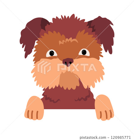 Dog hanging on border. Portrait of muzzles with paws. Front view. Flat vector design Dog hanging on border. Portrait of muzzles with paws. Front view. Flat vector design 120985771