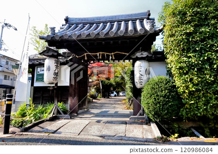 京都Oyamazaki Shrine Hachimangu Shimonomedi 京都Oyamazaki Shrine Hachimangu Shimonomedi 120986084