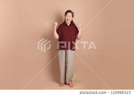 Senior East Asian Woman Senior East Asian Woman 120986523