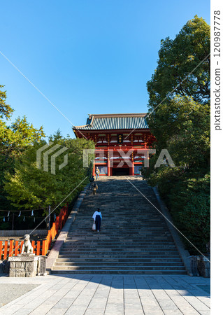 秋葉鶴岡八幡宮 120987778
