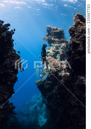 Freediver woman swims in underwater canyon in blue ocean near Menjangan island, Bali. 120987783