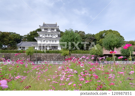 朝日城和波斯菊場（愛知縣尾張旭市） 120987851