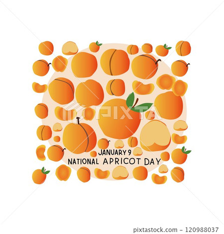 National Apricot Day 120988037