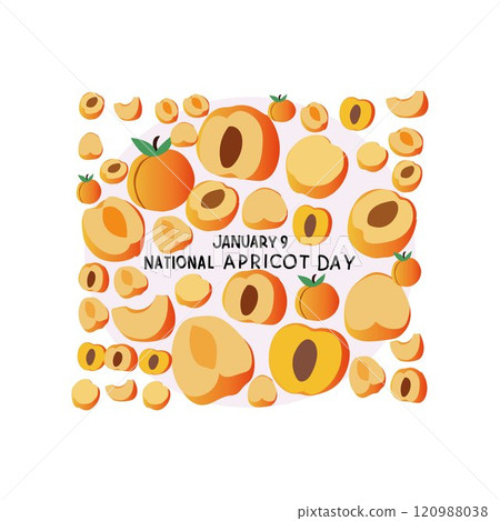 National Apricot Day 120988038
