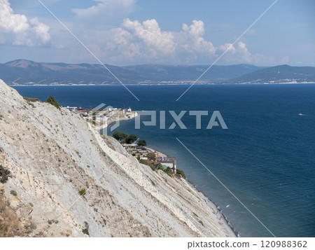 Olive tree branches with sea in the background 120988362
