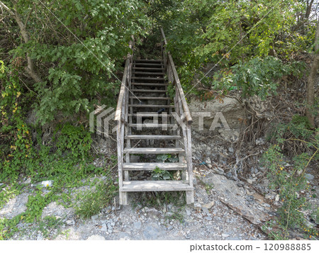 Beautiful wooden trail with stairs overgrown in ivy and tree 120988885
