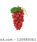 A cluster of red grapes with a green leaf, showcasing their natural form and vibrant color. 120989361