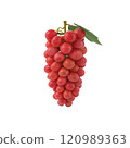A realistic bunch of red grapes with a green leaf, showcasing the fruit's texture and color. 120989363
