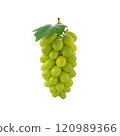 A cluster of green grapes with a single leaf, showcasing their fresh and juicy appearance. 120989366