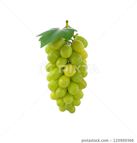 A cluster of green grapes with a single leaf, showcasing their fresh and juicy appearance. A cluster of green grapes with a single leaf, showcasing their fresh and juicy appearance. 120989366