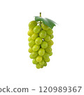 A cluster of green grapes with a single leaf, showcasing fresh and healthy fruit. 120989367