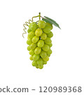 A bunch of green grapes with a leaf and curly vine, showcasing natural freshness and healthy eating. 120989368