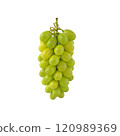 A bunch of green grapes hanging together, showcasing their fresh and vibrant appearance. 120989369