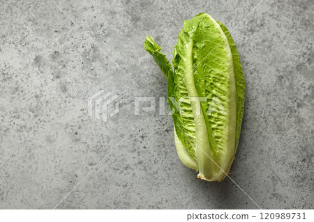 fresh green lettuce fresh green lettuce 120989731