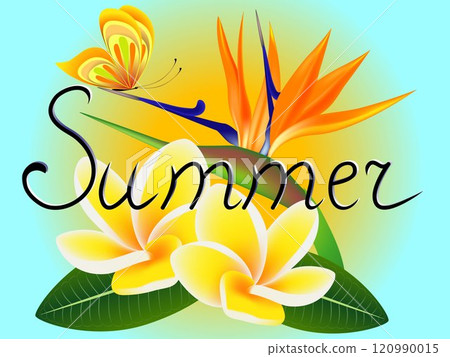 Summer banner with frangipani (Plumeria) with a paradise flower and a butterfly. Summer banner with frangipani (Plumeria) with a paradise flower and a butterfly. 120990015