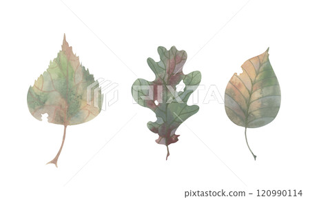 Autumn set. Dried leaves. Muted colors and colored pencil texture. Watercolor hand painted illustration. Forest design objects for printing on wrapping paper, notebooks, cards Autumn set. Dried leaves. Muted colors and colored pencil texture. Watercolor hand painted illustration. Forest design objects for printing on wrapping paper, notebooks, cards 120990114