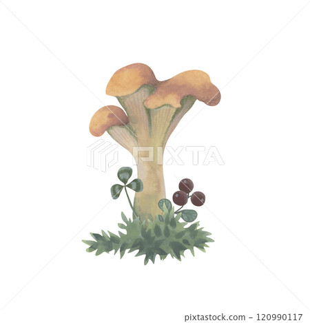 Autumn watercolor composition with mushrooms. Chanterelle with colored pencil texture. Hand painted illustration with forest design. Muted colors elements for postcards, notebooks, greeting cards 120990117