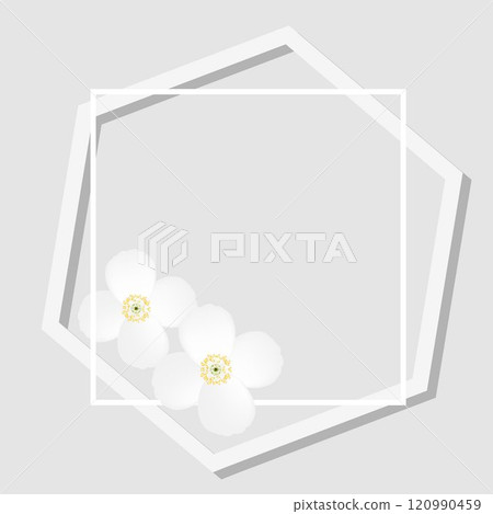 Floral frame with jasmine flowers. Floral frame with jasmine flowers. 120990459
