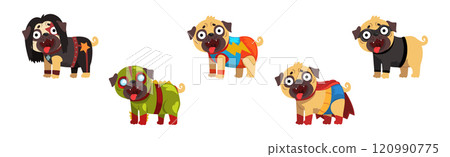 Pug Dog Puppy Character in Fancy Outfit Vector Set 120990775