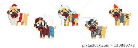 Pug Dog Puppy Character in Fancy Outfit Vector Set Pug Dog Puppy Character in Fancy Outfit Vector Set 120990778