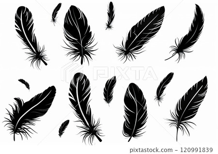 Feather icon, animal feathers isolated, black plume symbol, minimal plume silhouette on white 120991839