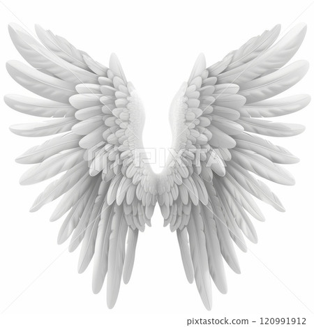 Wings icon, angel wings emblem, bird feathers silhouette, pigeon sign, spirituality symbol, elegance flight 120991912