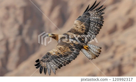 eagle glides effortlessly air wings fully extended backdrop towering mountains. Sunlight illuminates its feathers highlighting beauty symbol freedom. 120992317